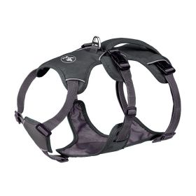 Pet Harness Dog Hand Holding Rope (Option: Gray-XXS)
